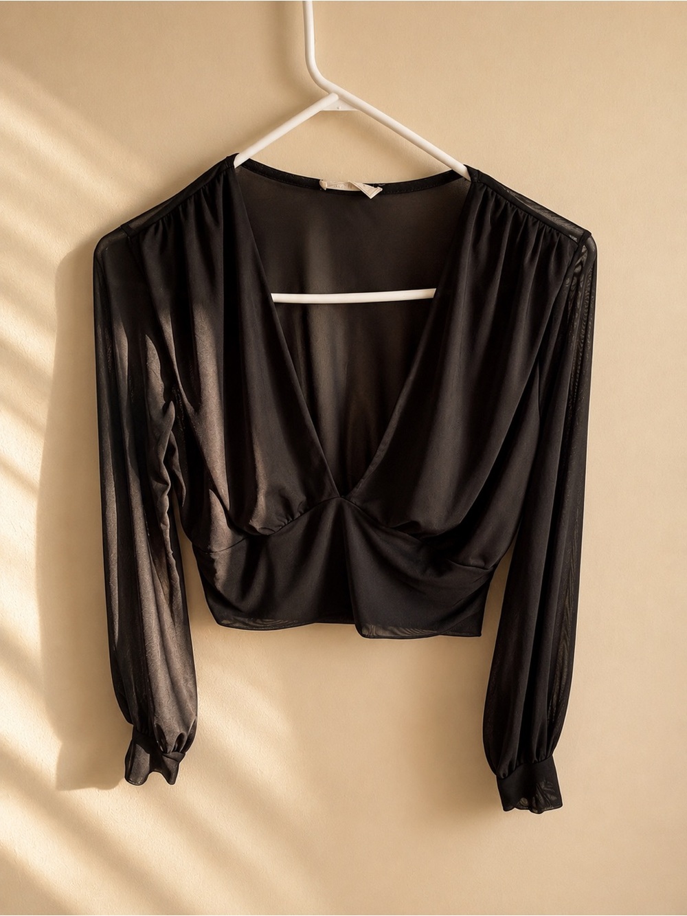 Black V-Neck Sheer Long-Sleeve Crop Blouse